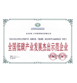 全国低碳产业发展示范企业