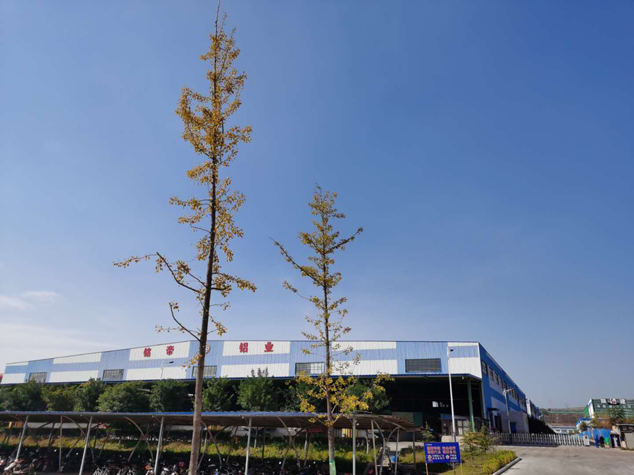 6690必发集团官网